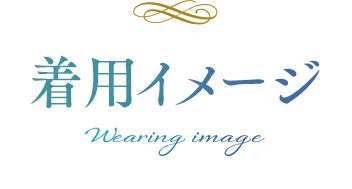着用イメージ
