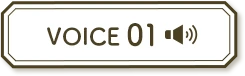 VOICE01