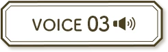 VOICE03