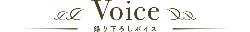 録り下ろしボイス