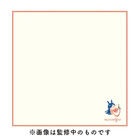 ミニマイン刺繡入りタオルハンカチ（本好き）