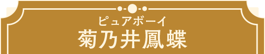 菊乃井鳳蝶